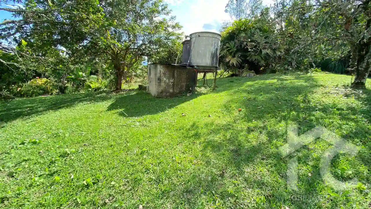 Finca Agrícola La Galaxia